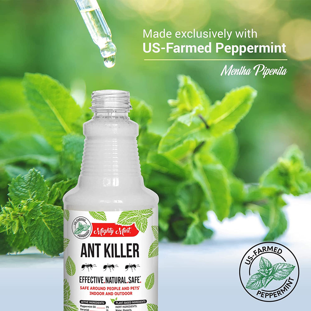
                  
                    Mighty Mint Ant Killer - Peppermint Spray - 16 oz.
                  
                