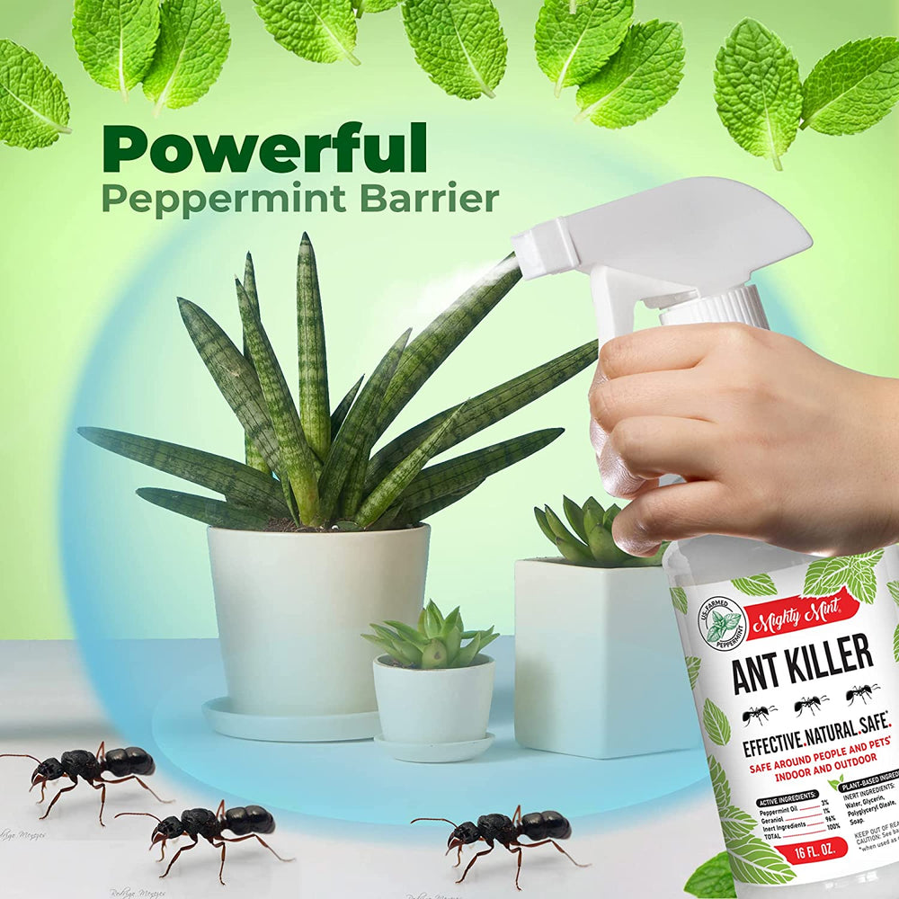 
                  
                    Mighty Mint Ant Killer - Peppermint Spray - 16 oz.
                  
                