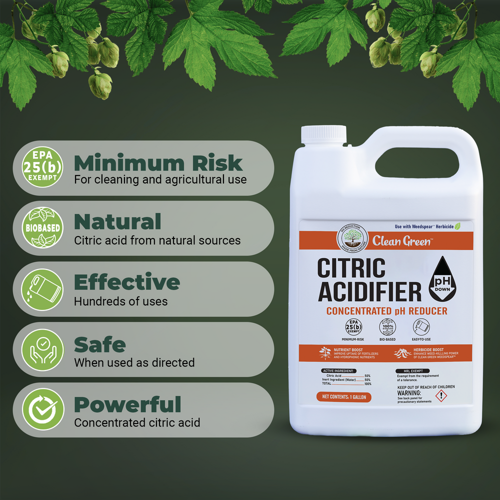 
                  
                    Weedspear Herbicide Weed Killer Concentrate with Acidifier - Powerful Natural Weed Control – Set of 2 Gallons
                  
                