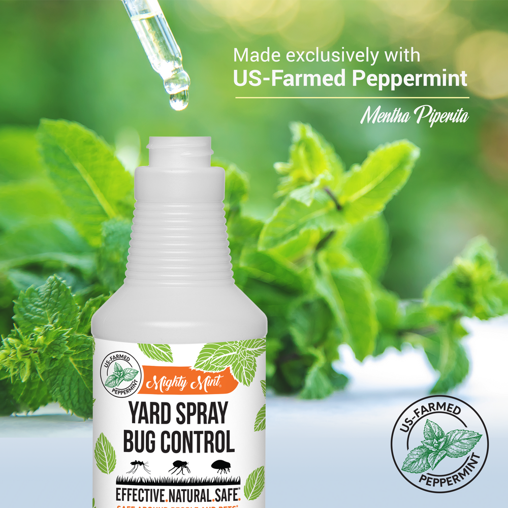 
                  
                    Mighty Mint Yard Spray Bug Control - Natural Peppermint Lawn Spray - 32oz
                  
                