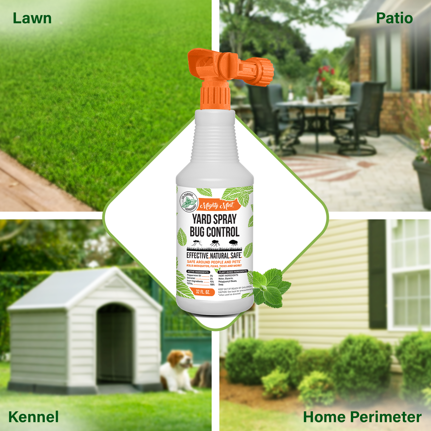 
                  
                    Mighty Mint Yard Spray Bug Control - Natural Peppermint Lawn Spray - 32oz
                  
                
