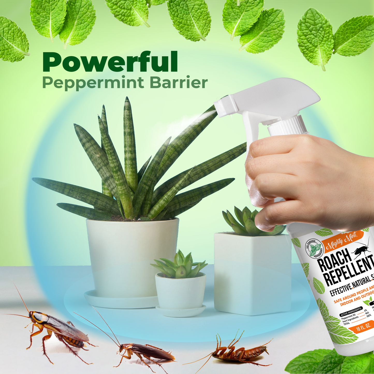 
                  
                    Peppermint Roach Spray Creates a Roach Barrier
                  
                