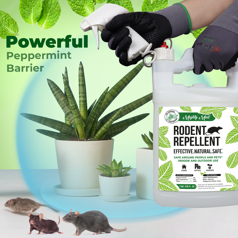
                  
                    Mighty Mint Rodent Repellent - Peppermint Spray - 128 oz
                  
                