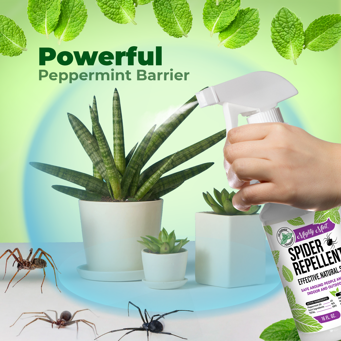 
                  
                    Mighty Mint Spider Repellent - Peppermint Spray - 16 oz
                  
                