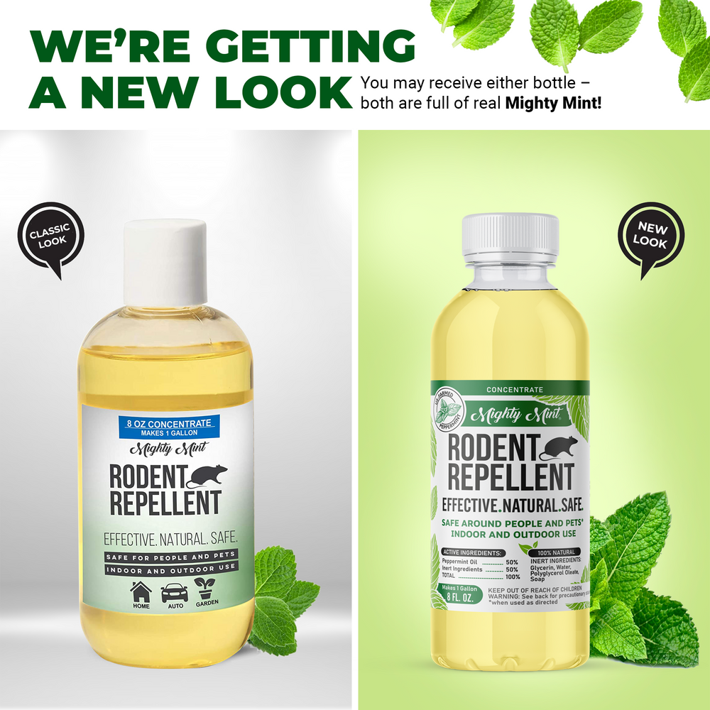 
                  
                    Mighty Mint Rodent Repellent - Peppermint Oil Concentrate
                  
                