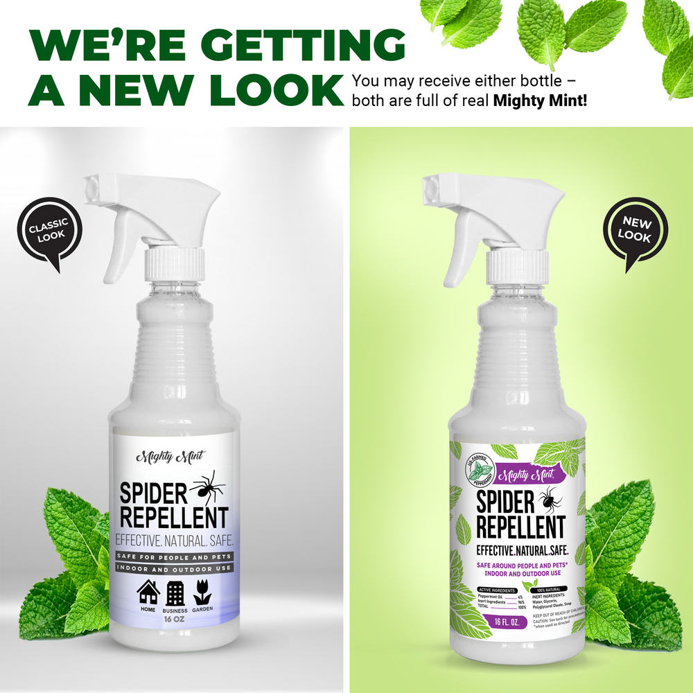 
                  
                    Mighty Mint Spider Repellent - Peppermint Spray - 16 oz
                  
                