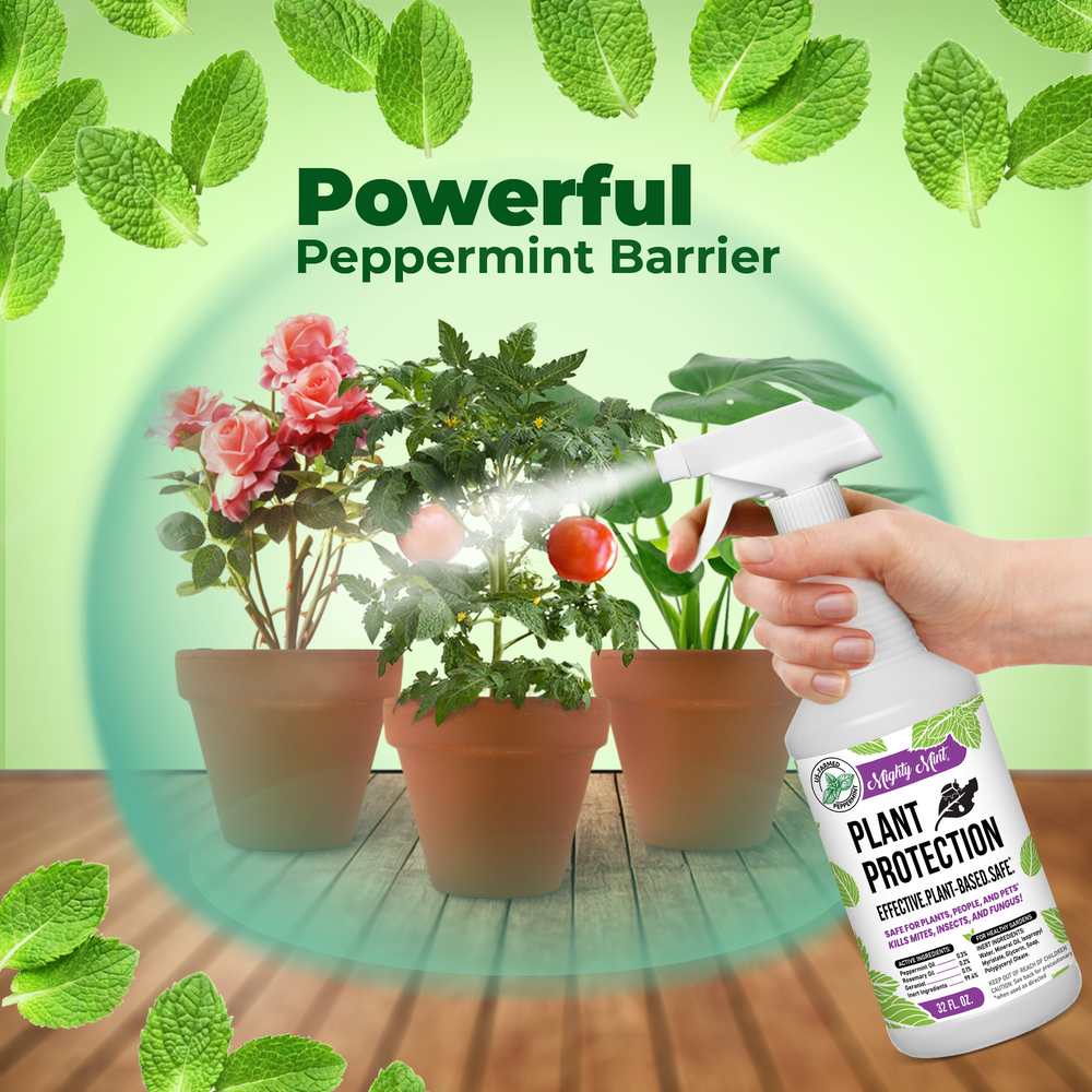 
                  
                    Mighty Mint Plant Protection - Peppermint Spray - 32 oz
                  
                