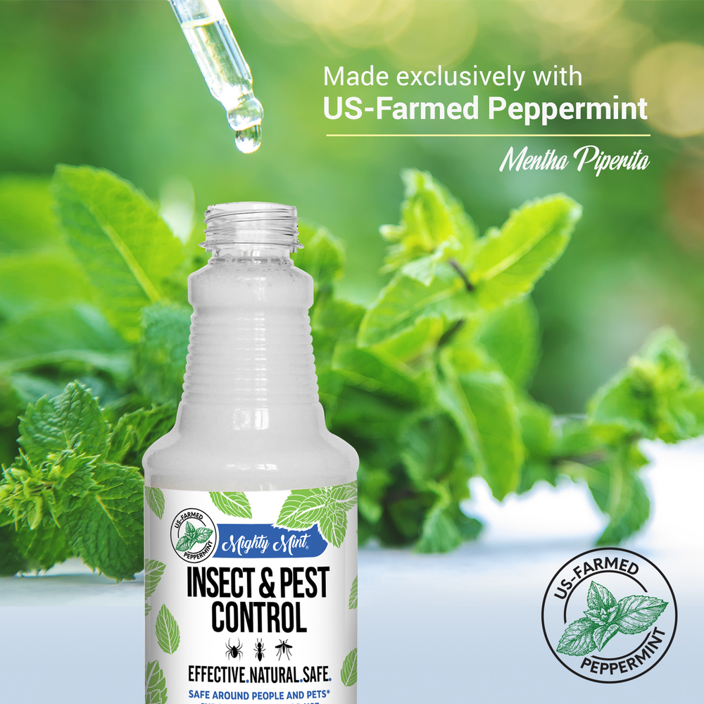 
                  
                    Mighty Mint Insect & Pest Control - Peppermint Spray - 16 oz
                  
                