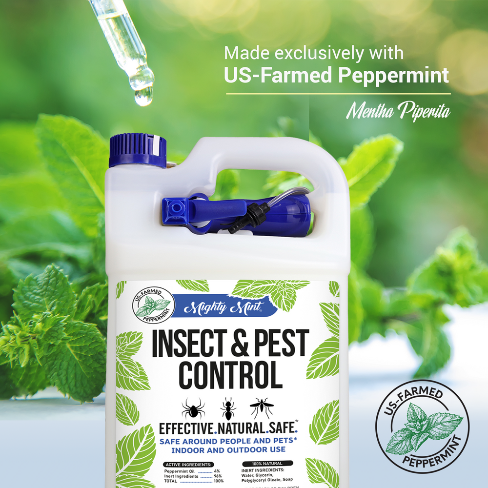 
                  
                    Mighty Mint Insect & Pest Control - Peppermint Spray - 128 oz
                  
                