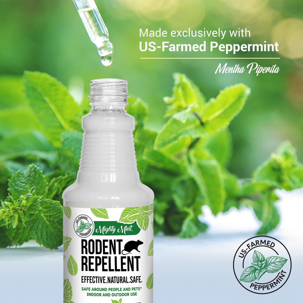 
                  
                    Mighty Mint Rodent Repellent - Peppermint Spray - 16 oz
                  
                