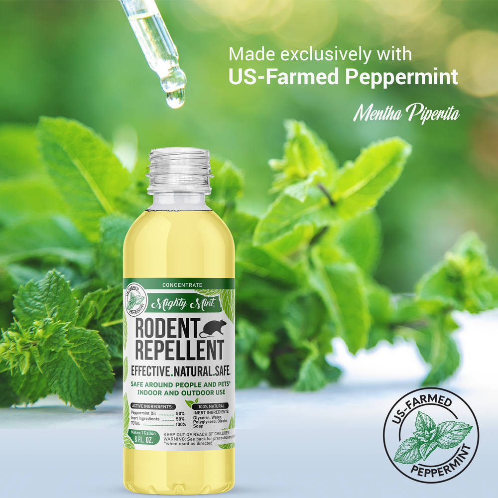 Peppermint oil to clearance keep cats away