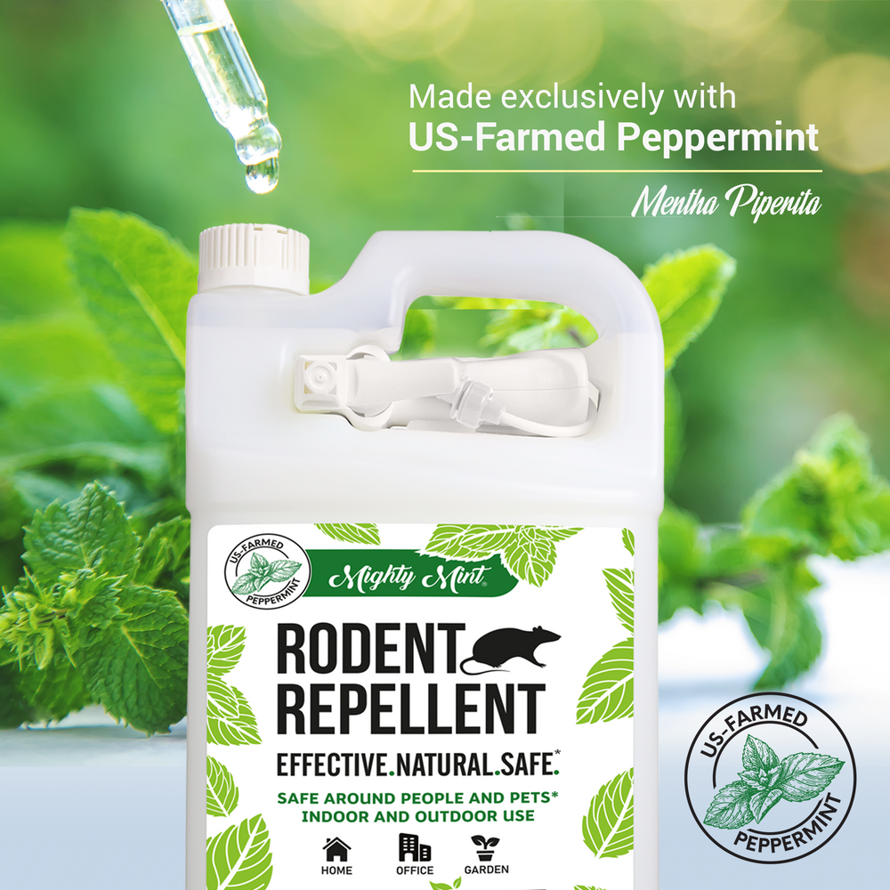 
                  
                    Mighty Mint Rodent Repellent - Peppermint Spray - 128 oz
                  
                
