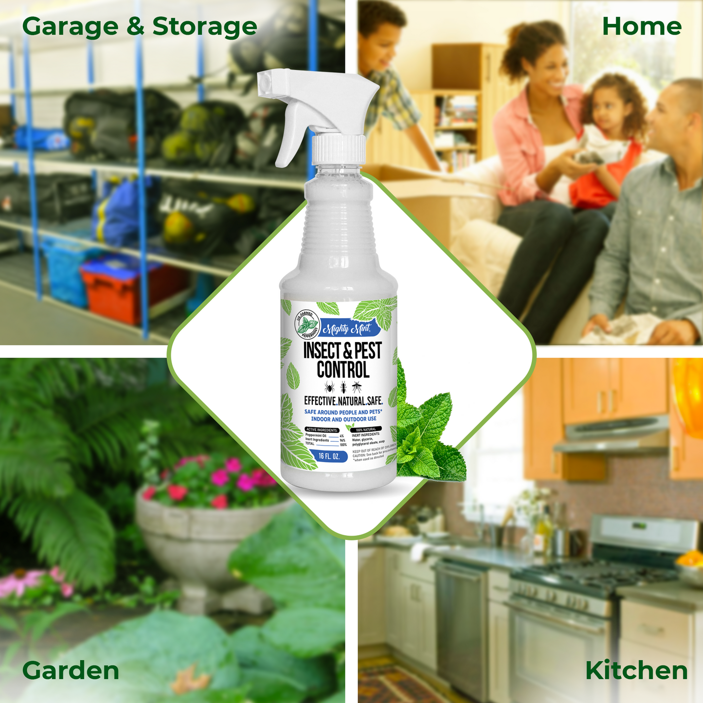 Peppermint oil spray clearance for bugs