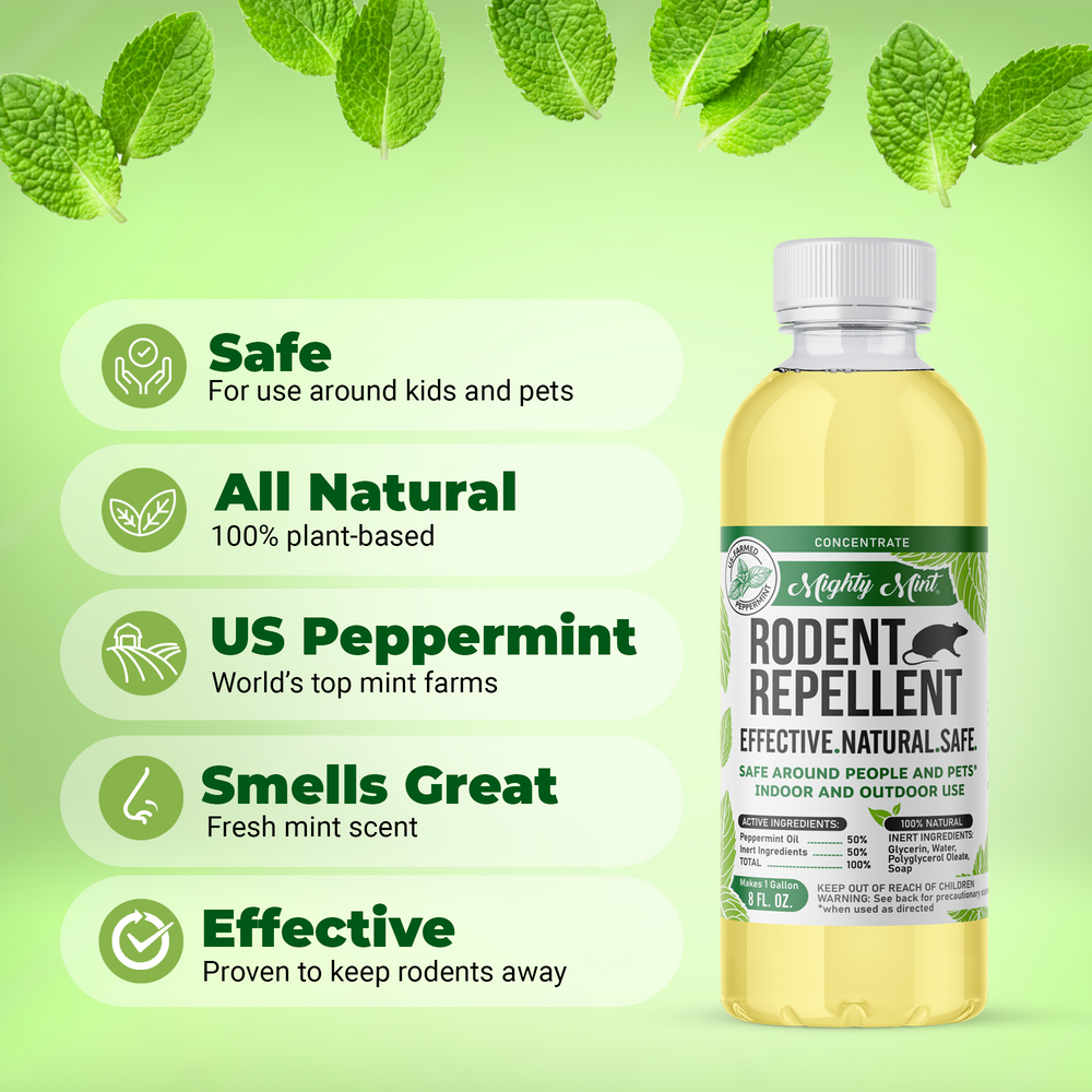 
                  
                    Mighty Mint Rodent Repellent - Peppermint Oil Concentrate
                  
                
