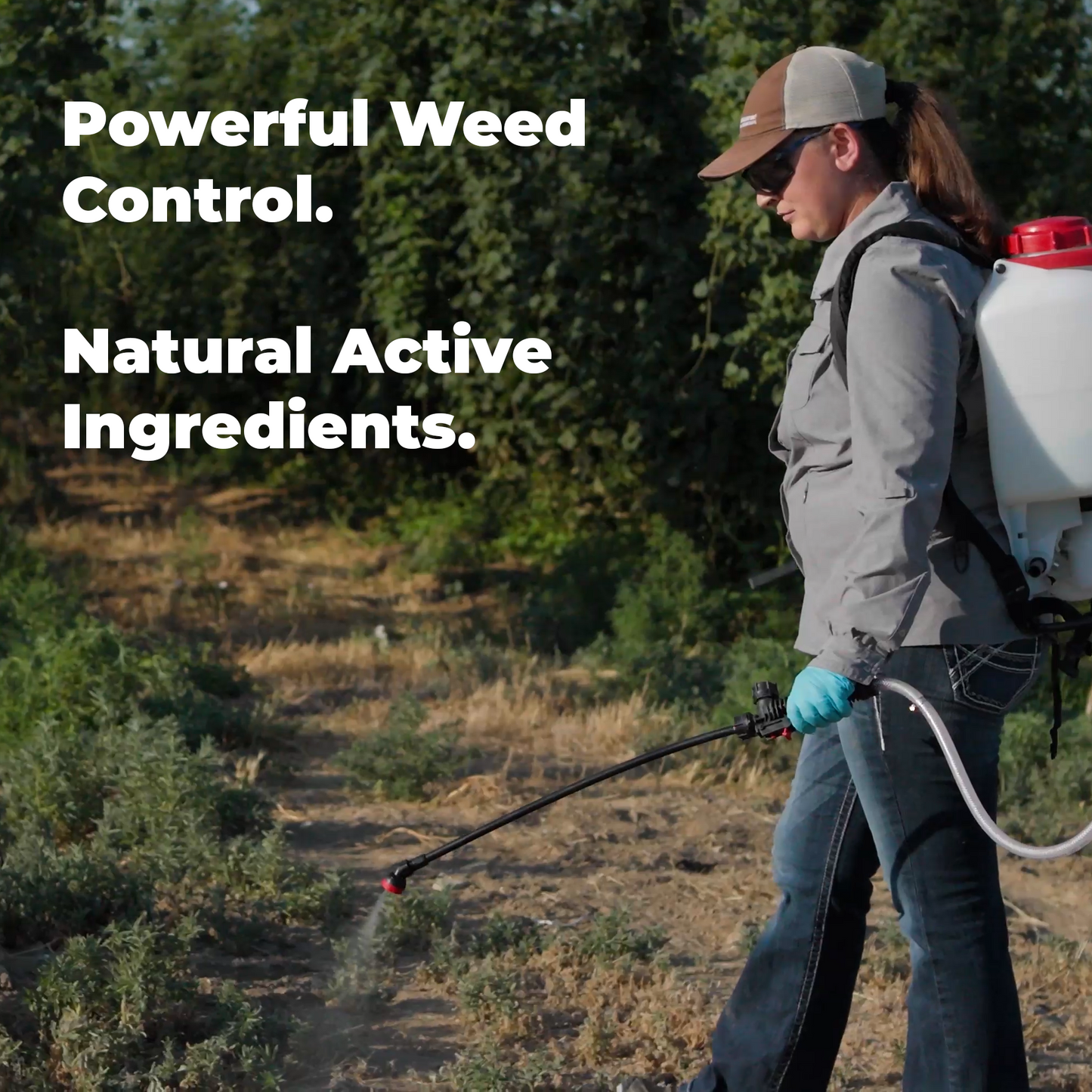 
                  
                    Weedspear Herbicide Weed Killer Concentrate with Acidifier - Powerful Natural Weed Control – Set of 2 Gallons
                  
                