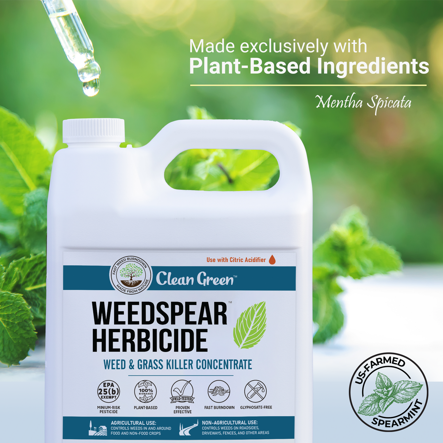 
                  
                    Weedspear Herbicide
                  
                