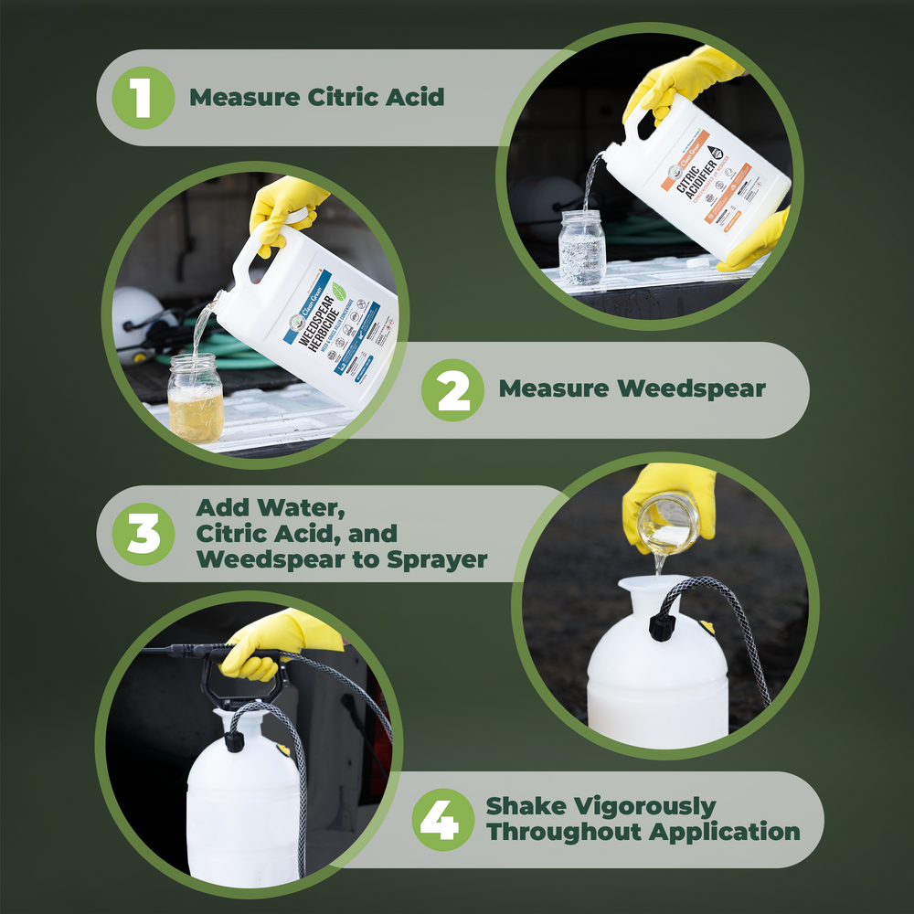 
                  
                    Weedspear Herbicide
                  
                