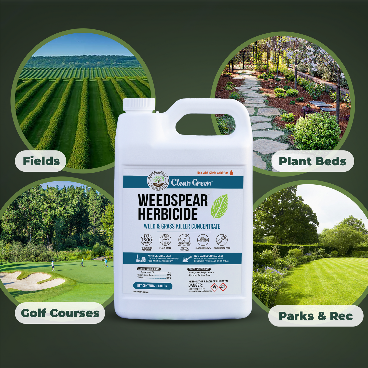 
                  
                    Weedspear Herbicide
                  
                