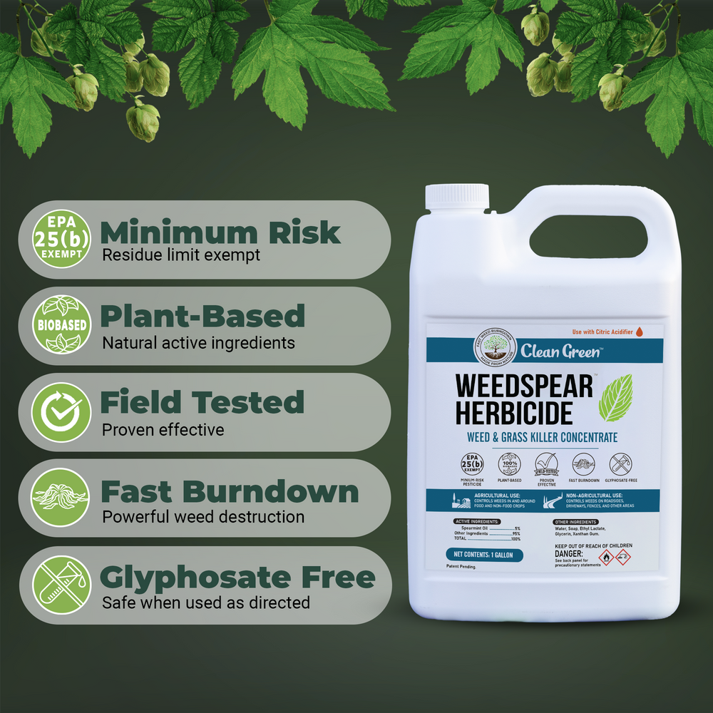 
                  
                    Weedspear Herbicide Weed Killer Concentrate with Acidifier - Powerful Natural Weed Control – Set of 2 Gallons
                  
                